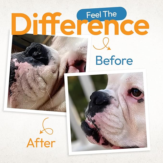 Bulldog Wrinkle Wipes for Dogs – Deodorizing & Soothing with Honeysuckle Extract – Non-Irritating, Cleans Wrinkles, Folds, Paws & Tail Pockets – for Bulldogs, Pugs & Frenchies (100 Count)-PawvioPets