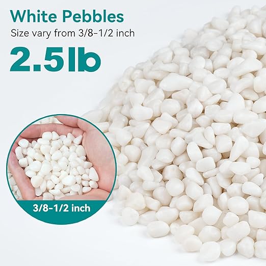 2.5 lbs Small White Rocks for Planters, 3/8" White Pebbles for Vases, Decorative Small Stones for Plants, Succulents, Bamboo, Terrarium, Landscape, Garden-PawvioPets