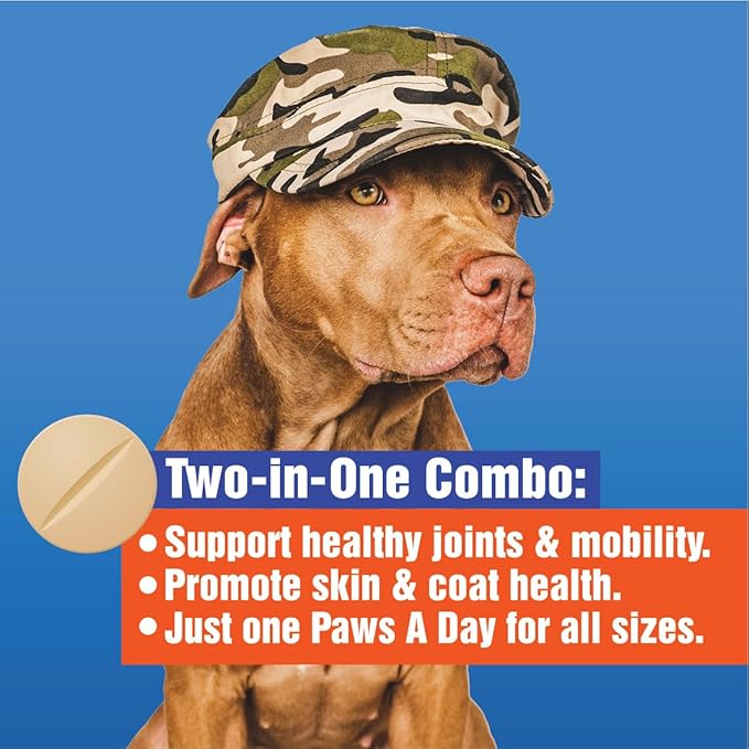 Glucosamine for Dogs Hip & Joint Supplement – “Two-in-One Combo” Dog Joint Care and Improved Skin & Coat with Chondroitin, MSM, Omega 3, Collagen & Biotin, 60 Chewable Tablets-PawvioPets