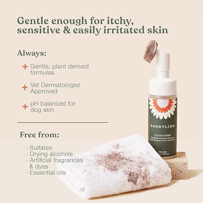 Dandylion Clean Paws | No-Rinse Dog Paw Cleaner & Puppy Paw Washer | Gentle, Fragrance-Free, pH Balanced Foaming Cleanser with Silicone Bristle Brush | Safe for All Dogs | 5 fl oz-PawvioPets