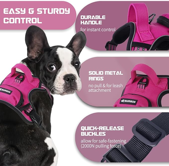 BUMBIN Dog Harness for Large Dogs, No Pull Adjustable No Choke Pet Vest with Dog Leash Fit Smart Reflective Pet Walking Harness for Training Easy Control Soft Handle Rose Red L-PawvioPets