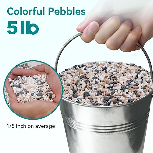 5 lbs Small Rocks for Succulents, 1/5 Inch Pebbles for Indoor Plants, Decorative Pea Gravel for Terrarium, Vases, Aquariums, Fish Tank, Drainage Rocks for Potted Plants, Bamboo,Crafts, Cactus-PawvioPets
