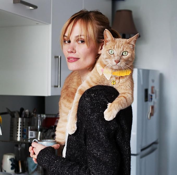 16 PCS Cute Cat Collars Breakaway with Bell for Boy Cats and Girl Cats Gifts (#2-Multicolor Lace)-PawvioPets