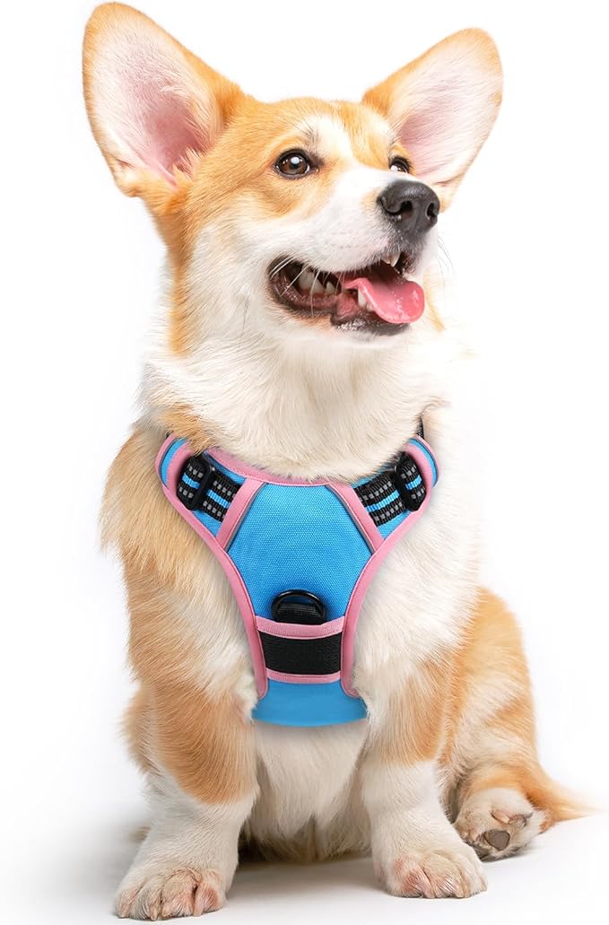 Eagloo Dog Harness for Large Dogs, No Pull Service Vest with Reflective Strips and Control Handle, Adjustable and Comfortable for Walking, No Choke Harness with 2 Metal Rings, Pink & Blue, M-PawvioPets