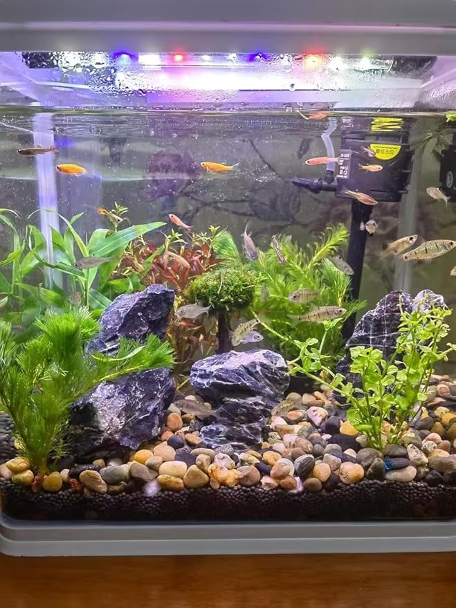 Aquarium Rocks Seiryu Stones Natural Hardscape Stone for Aquariums, Fish Tanks, Bonsai, Terrariums, Wargaming Dioramas, Indoor or Outdoor Gardens-5Lb(2-6 Inch)-PawvioPets