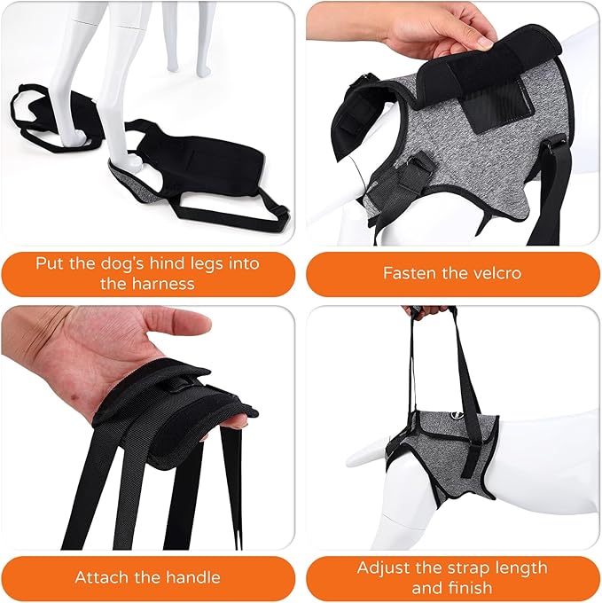 Dog Sling for Medium Large Dog Rear Leg, Lift Harness Provide Support with Muscle Atrophy and Joint Problems for Elderly Injured Arthritic Pet, Dog Weak Rear Legs Provides Rehabilitation Aid-PawvioPets