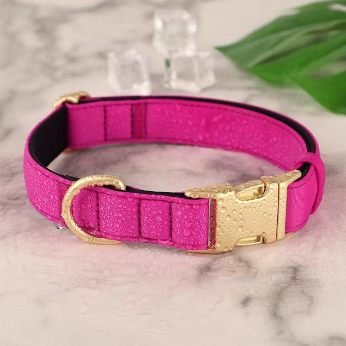 Didog Soft Padded Dog Collars for Small Dogs, Colorful and Durable Dog Collar with Quick Release Buckle, Light and Breathable for Daily Walking, Rose Purple, S-PawvioPets