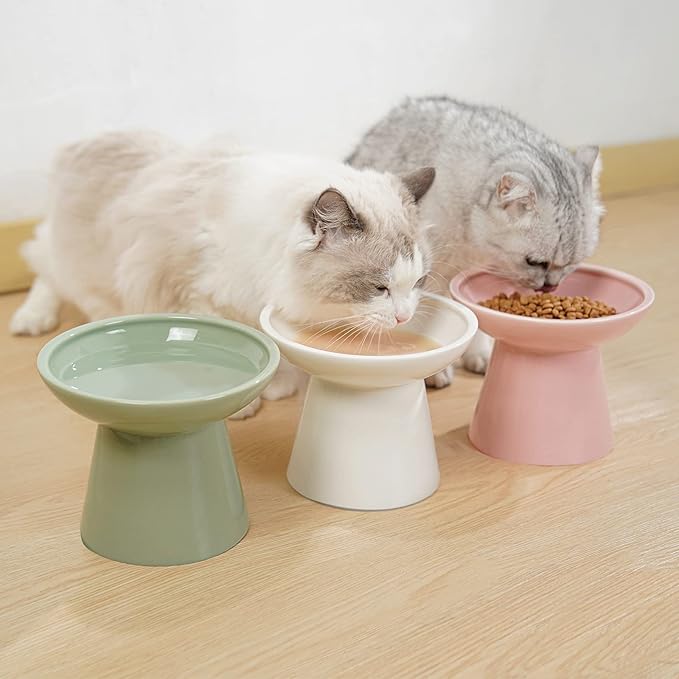 Extra Wide Elevated Ceramic Cat Food Bowl - 6.2" Shallow Dish for Whisker Fatigue Relief, 5" Height for Easy Feeding, Lead & Cadmium Free, Durable Raised Cat Food Bowls, Sage Green-PawvioPets