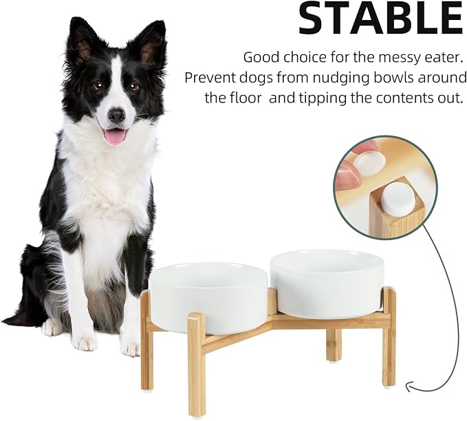 Ceramic Raised Double Bowls Set with Stand, Food & Water Bowls for Medium Breed Dogs, Weighted Dog Dishes, Pet Bowl(7.3'',41OZ, White)-PawvioPets