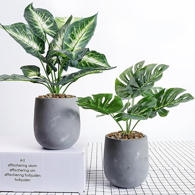 2 Pounds Pebbles for Plants, 3/8 Inch Polished Pea Gravel. Decorative Stones River Rocks for Succulent Soil Cover, Cactus, Aquarium, Vase and Outdoor Garden Landscaping-PawvioPets