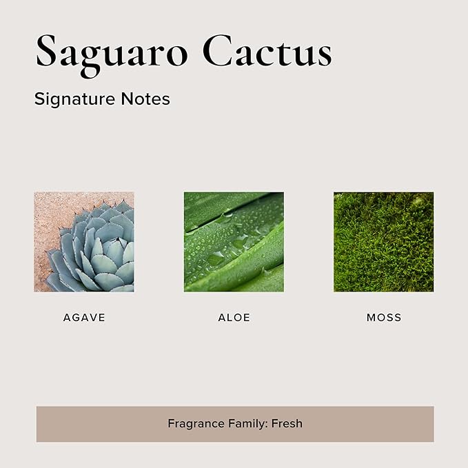 Broken Top Botanical Car Air Freshener Variety Pack, 6 Pack (2 Coconut Sandalwood, 2 Saguaro Cactus, 2 Sea Salt Surf)-PawvioPets