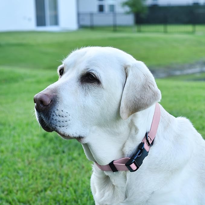Dogline Biothane Waterproof Dog Collar with Quick Release Buckle Strong Coated Nylon Webbing with Odor- Proof for Easy Care Easy to Clean Fits Small Medium Large Dogs, Lavender 1" W 15-23" L-PawvioPets