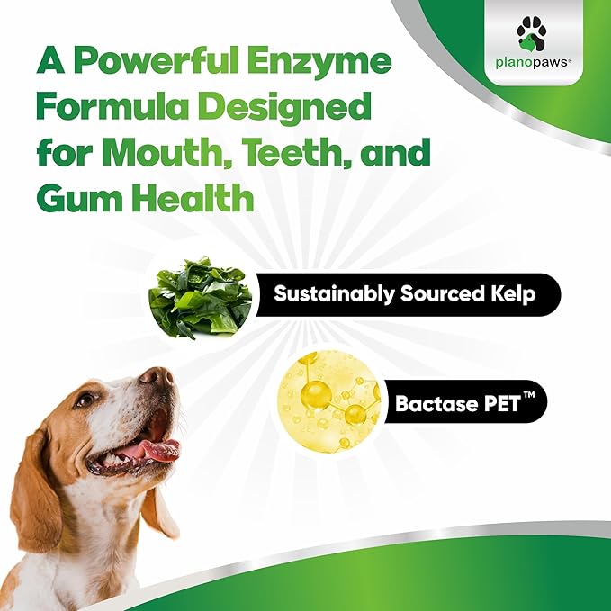 Dog Teeth Cleaning Powder - Plaque and Tartar Remover - Dental Powder with Bactase PET - Breath Freshener for Overall Dental Care - Supports Mouth, Teeth, and Gum Health for All Ages and Sizes-PawvioPets