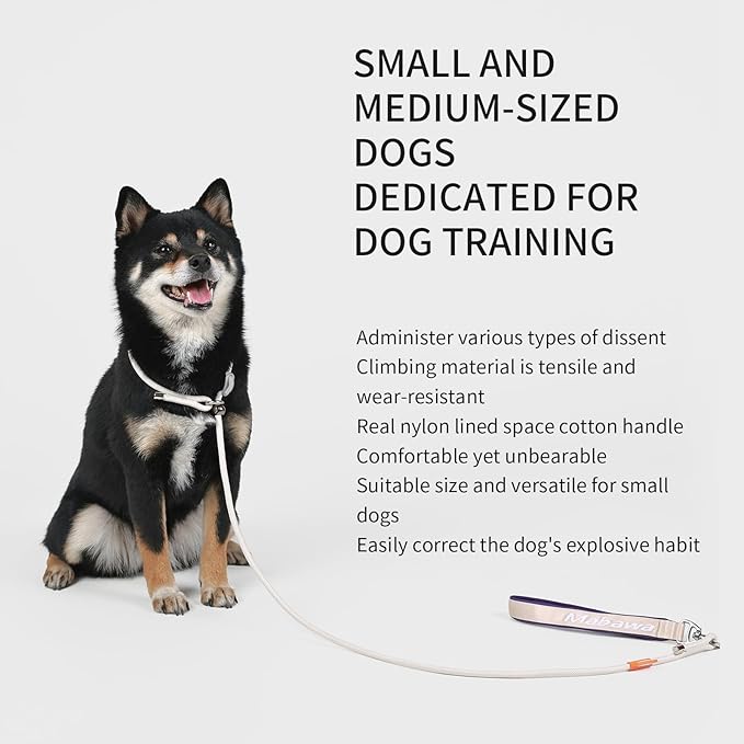 Dog Anti-Slip Leash 5FT with Metal Stopper - Durable No-Pull Training Lead for Small, Medium & Large Dogs - Comfortable Handle Nylon Rope, Tangle-Free Pet Walking Leash (Beige, 5 FT)-PawvioPets