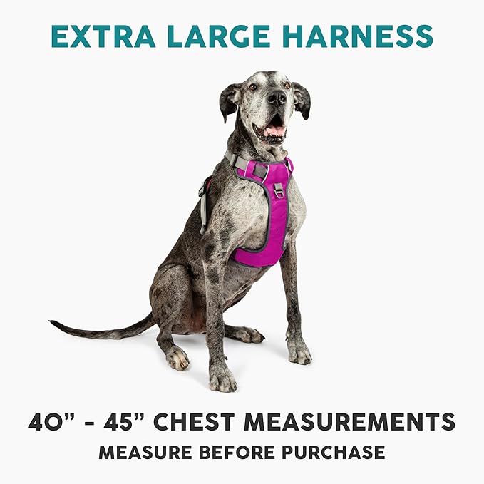 Embark Adventure Dog Harness, Reflective Trim XL Dog Harness for Extra Large Dogs No Pull - Military Grade Nylon, 2 Leash Clips & Gel Lined Handle.-PawvioPets