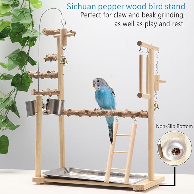 Bird Playground Parrot Playstand Bird Perch Stand Gym Natural Wood Play Stand with Swing Ladder Feeder Cups for Parakeets Cockatiels Lovebirds Conures Budgies-PawvioPets