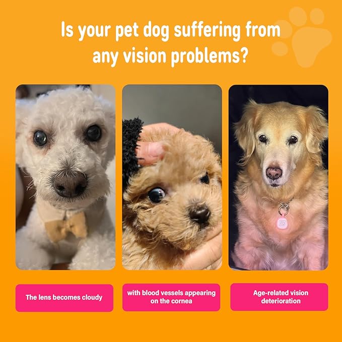 Eye Supplements for Dogs - Vision Support Soft Chews with Lutein, DHA & Vitamin C | 120ct Salmon Flavor Tear Stain Chews | Cataract & Dry Eye Relief Supplement (120 Ct, Salmon)-PawvioPets