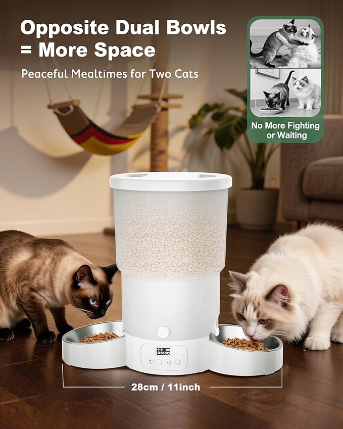 Gimars 5L Automatic Cat Feeder for 2 Cats, Programmable 1-6 Meals Cat Food Dispenser with Stainless Steel Bowl, Easy Setup, Dual Power Supply,10s Meal Call Timed Pet Feeder for Cats and Small Dogs-PawvioPets