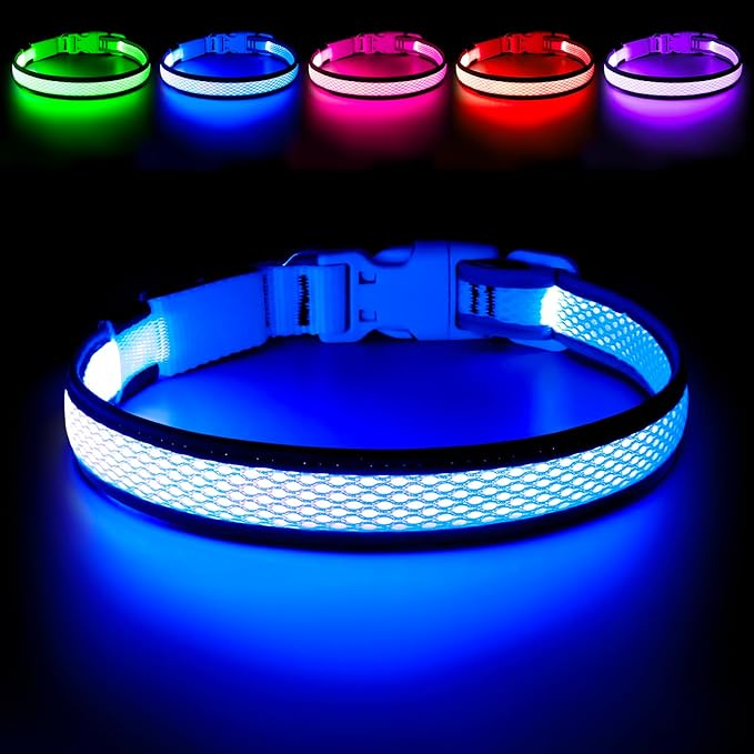 Flashseen LED Dog Collar, Light Up Dog Collar USB Rechargeable, Brightest Dog Lights for Night Walking, Adjustable Dog Collar Light for Dog Safety (Large, Royal Blue)-PawvioPets