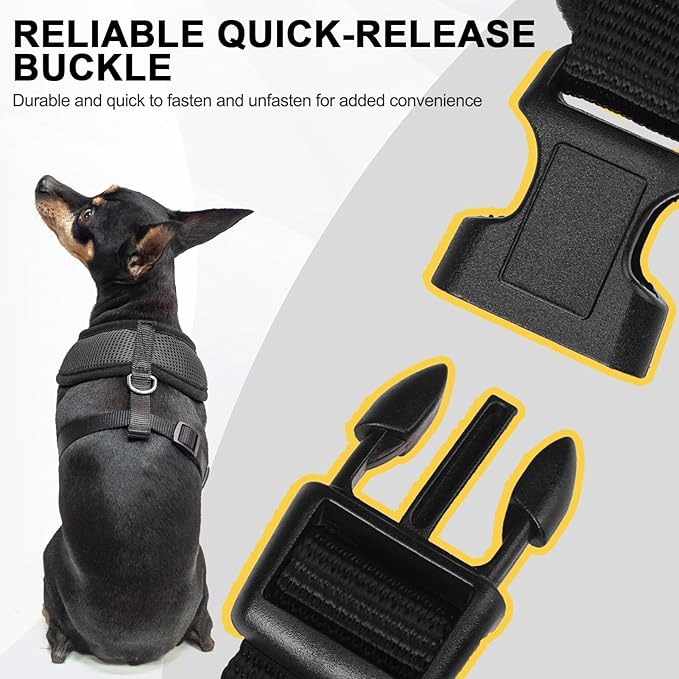 BINGPET Small Dog Harness - Breathable Mesh Puppy Cat Harnesses - No Pull Adjustable Dog Harness Dog Vest Harness for Small and Medium Dogs-PawvioPets