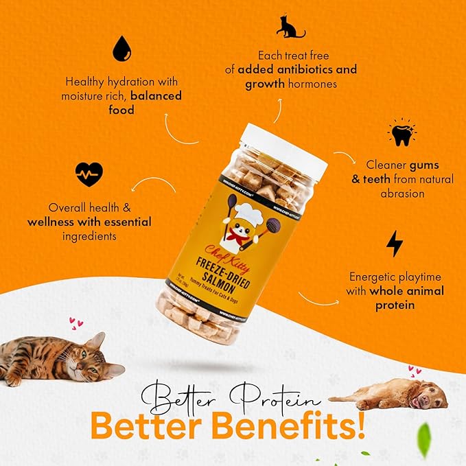 Freeze-Dried Salmon Treats for Cats & Dogs – 100% Wild Caught, Single Ingredient, High-Protein, Healthy Snack – No Additives or Preservatives – 1.4oz - Inspected & Tested in USA-PawvioPets