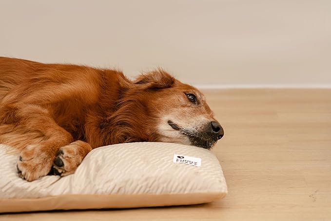 FUNNY FUZZY Washable Dog Bed,Reversible Plush Dog Crate Mat, Soft Fluffy Kennel Pad,Pet Sleeping Mattress for Jumbo,X-Large Sized Dogs Breeds,2XL,48"× 31",Beige-PawvioPets