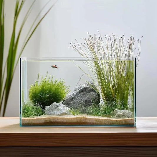 10 Gallon Glass Fish Tank, Easy to Maintain Small Aquarium for Betta/Goldfish/Snails/Shrimp and Aquatic Planting.-PawvioPets