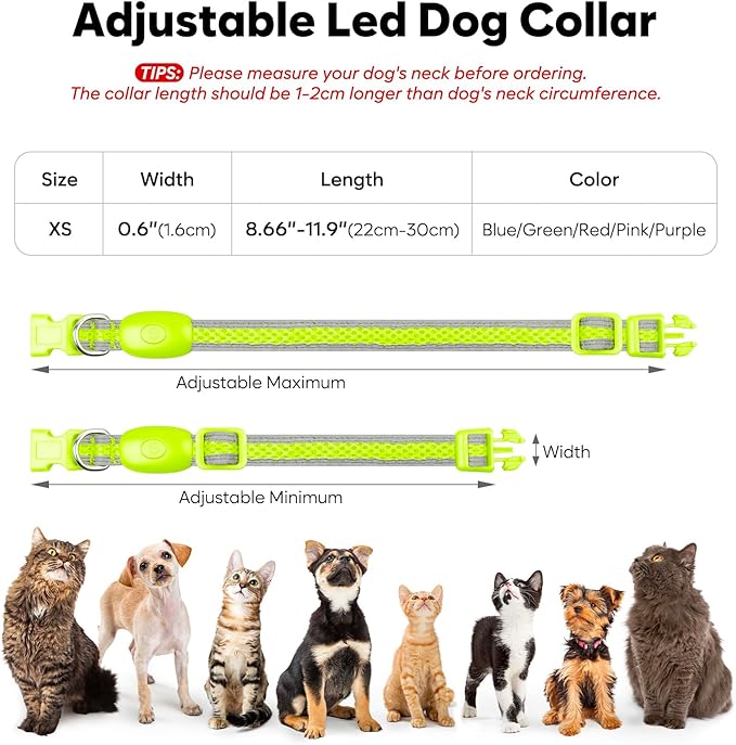 Flashseen LED Cat Collar,Light Up Dog Collar Rechargeable, Dog Lights for Night Walking, Comfortable Soft Mesh Pet Collar Adjustable for Cats Puppy and Small Dogs(Neon Green, XS)-PawvioPets