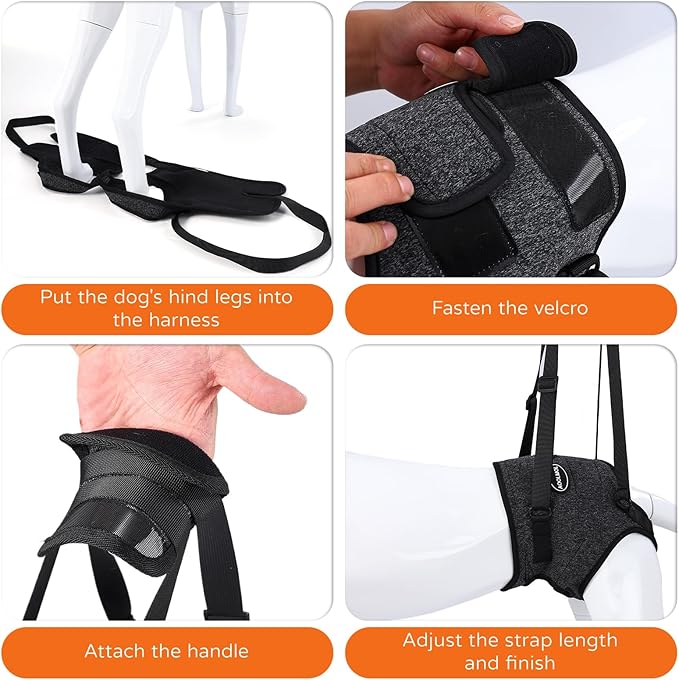 Dog Sling for Medium Large Dog Rear Leg, Lift Harness Provide Support with Muscle Atrophy and Joint Problems for Elderly Injured Arthritic Pet, Dog Weak Rear Legs Provides Rehabilitation Aid-PawvioPets