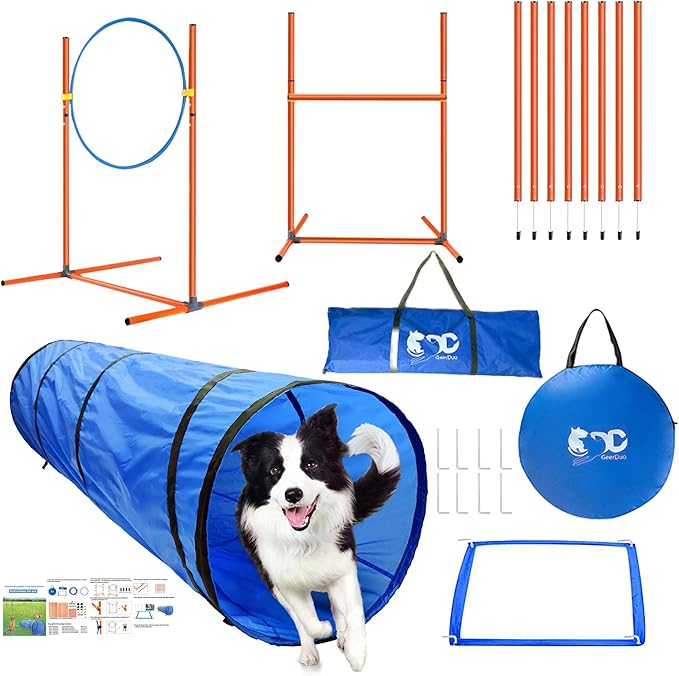 Dog Agility Training Equipment, Obstacle Agility Training Starter Kit for Doggie, Including Tunnel, 27 Weave Poles, Adjustable Hurdle, Jump Ring, Pause Box and Carrying Bag(Blue,L)-PawvioPets