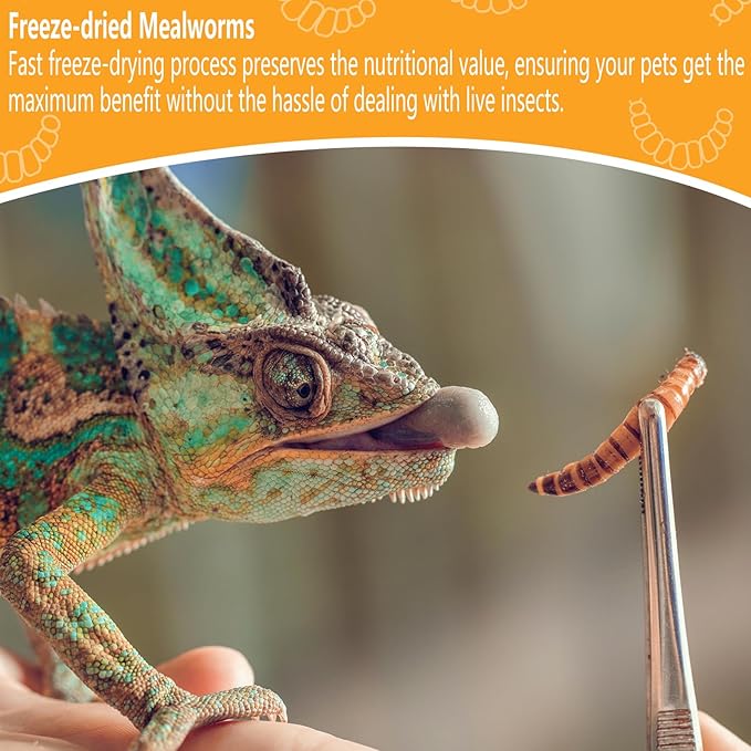Freeze Dried Mealworms 6 Oz - High Protein Pet Food for Reptiles, Bearded Dragons, Birds & Hedgehogs - Nutrient-Packed Treat for Lizards, Geckos, Turtles, Chickens-PawvioPets