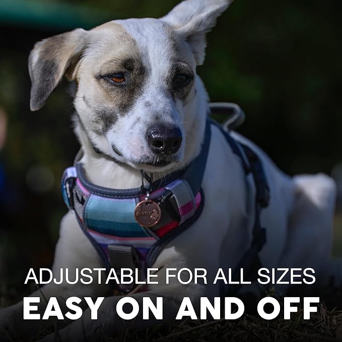 Embark Adventure Dog Harness, No-Pull Reflective Trim Dog Harness for Small, Medium & Large Dogs - Heavy Duty Oxford, 2 Leash Clips & Gel Lined Handle. Soft & Padded Puppy Dog Vest for Any Breed-PawvioPets