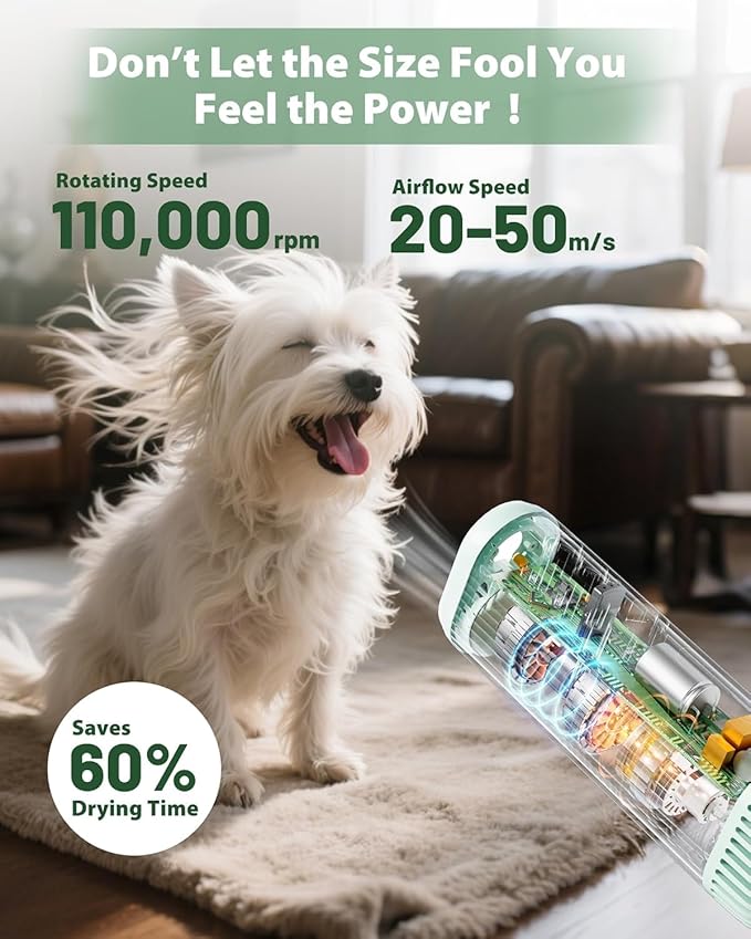 2-in-1 Hands-Free Dog Hair Dryer with Table Clamp – Low Noise Pet Grooming Dryer for Dogs & Cats, Adjustable Heat & Speed, Wearable or Desktop Use(Green)-PawvioPets