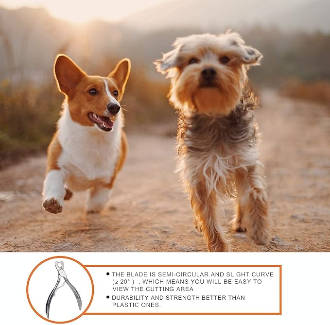 Dog Nail Clipper | Pet Cat Claw Trimmer -Sharp Angled Stainless Steel Blade for Quick Safety -Sturdy Non-Slip Handle -Nail File & Set Box -Professional Tools for Large & Small Pet-PawvioPets