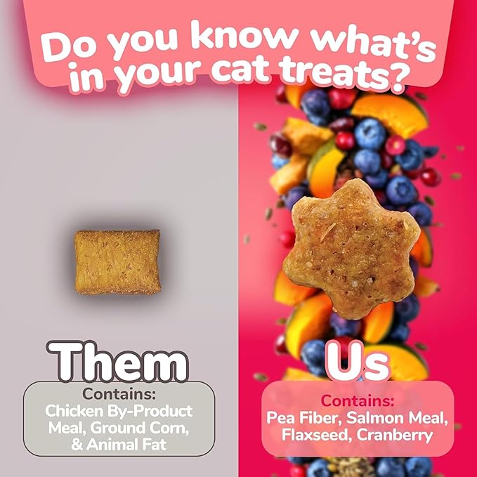 Fruitables Cat Crunchy Treats For Cats – Healthy Low Calorie Packed with Protein – No Wheat, Corn or Soy – Made with Real Salmon with Cranberry – 2.5 Ounces-PawvioPets