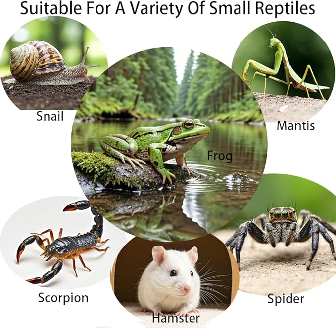 Acrylic Jumping Spider Enclosure,Reptile Enclosure,Bug Habitat, for Small Tree Dwelling Reptiles,Arboreal Tarantula Enclosure, Spider Terrarium Kit,Plastic Terrarium(4.7" X 4.7" X 8")-PawvioPets