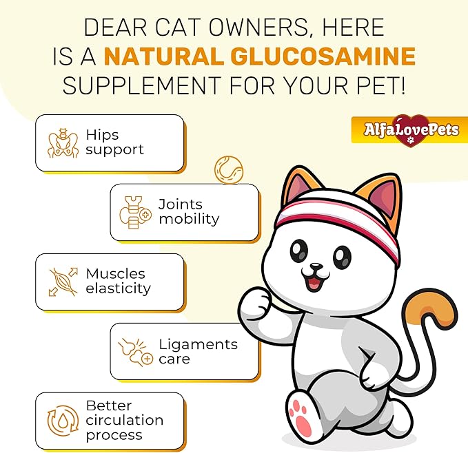 Cat Joint Supplement for All Breeds – Glucosamine for Cats and Kittens – Glucosamine, Chondroitin, MSM for Hip & Joint Care – Natural Ingredients with Chicken Flavor – 2 Oz-PawvioPets