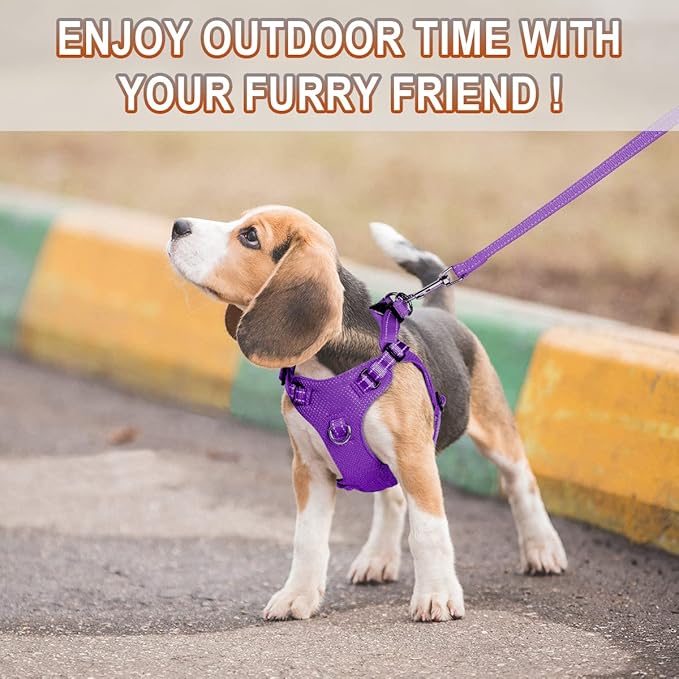 Dog Harness Step in Dog Vest Harness, Reflective Adjustable Puppy No Pull Harness Breathable Soft for Small and Medium Dogs Cats, Purple, XXS-PawvioPets