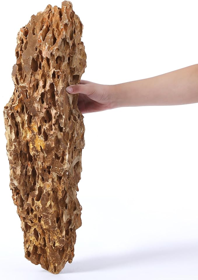 22-24 Inches Natural Dragon Stone 1 PCS Ultra Large Aquarium Rocks for Aquascaping, Aquarium Landscaping, Terrariums, Fish Tank Decoration, Vivariums, Paludarium, Amphibian Enclosures-PawvioPets