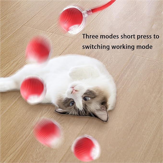 2 Packs Interactive Cat Toy Ball for Indoor Cats - 3-Speed Smart Rolling Ball with Flashing Lights, USB Rechargeable Automatic Motion Kitten Toys for Bored Adult Cats & Playful Kittens-PawvioPets