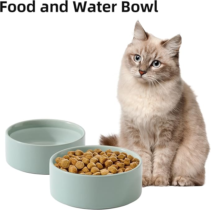 Ceramic Set of 2 Cat Bowls, Food and Water Bowls for Cats, Kitty, 2pcs Cat Dishes, Pet Feeder(5.1inch, 2 x Light Green Bowls)-PawvioPets