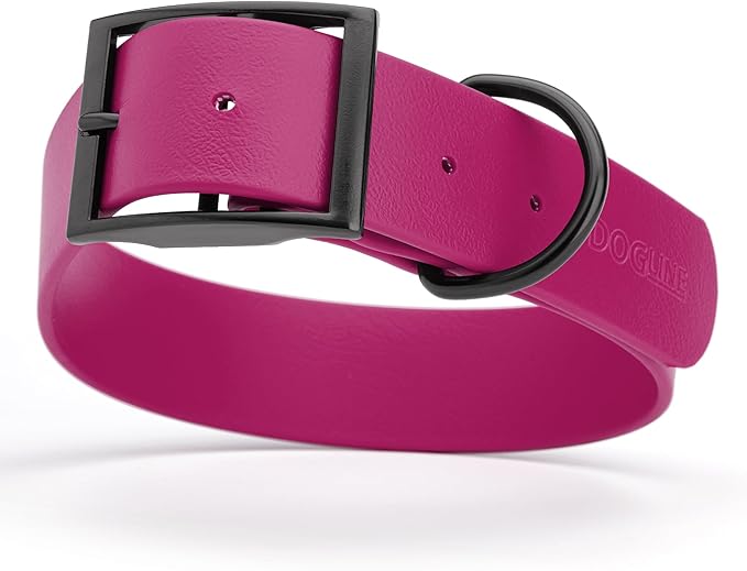 Dogline Biothane Waterproof Dog Collar Strong Coated Nylon Webbing with Black Hardware Odor- Proof for Easy Care Easy to Clean High Performance Fits Small Medium or Large Dogs, Magenta Pink-PawvioPets