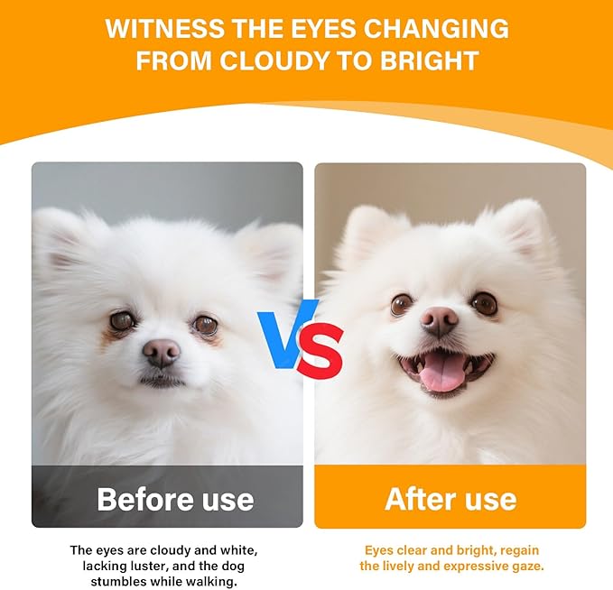 Eye Supplements for Dogs - Vision Support Soft Chews with Lutein, DHA & Vitamin C | 120ct Salmon Flavor Tear Stain Chews | Cataract & Dry Eye Relief Supplement (120 Ct, Salmon)-PawvioPets