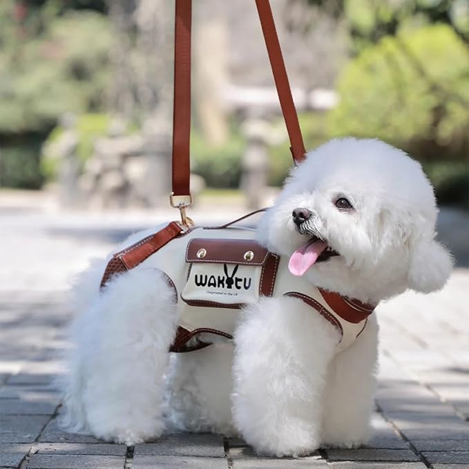 Dog Lift Harness Dog Carrier VES Harness Adjustable Leash with Small Puppy Treat Bag,Fits Most Cars,XS-PawvioPets