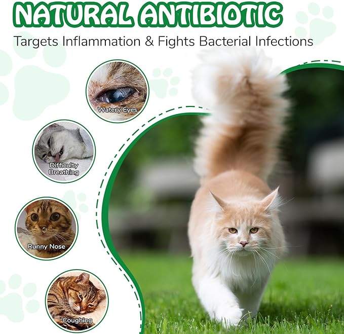 Antibiotics for Cats | Cat Antibiotics | Natural Antibiotics for Cats | Pet Antibiotics | Cat Itchy Skin Relief | Cat Allergy Relief | Cat Antibiotics for Skin Infection | 2 Fl Oz-Chicken Flavour-PawvioPets