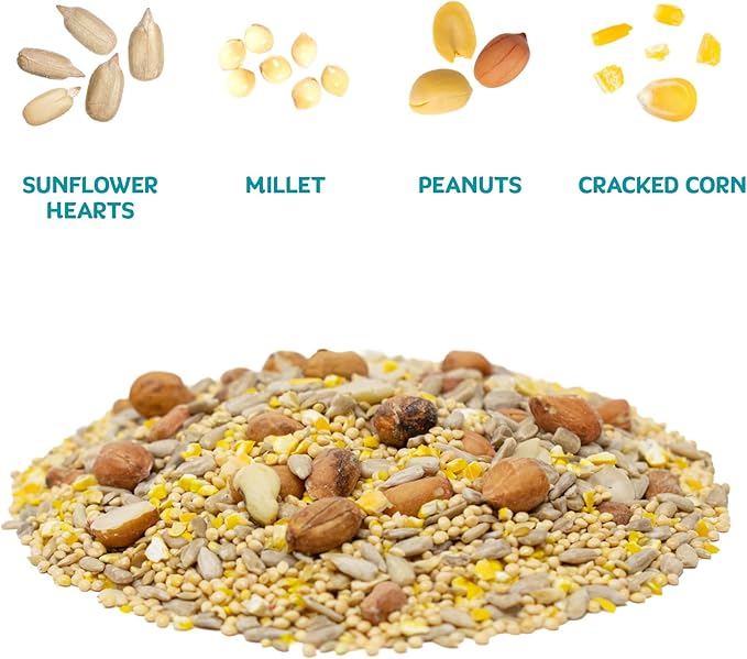 Audubon Park Waste Free Wild Bird Seed –12 lb. No Mess Blend with Sunflower Hearts & Peanut Pieces – Bird Food for Outside Feeders-PawvioPets