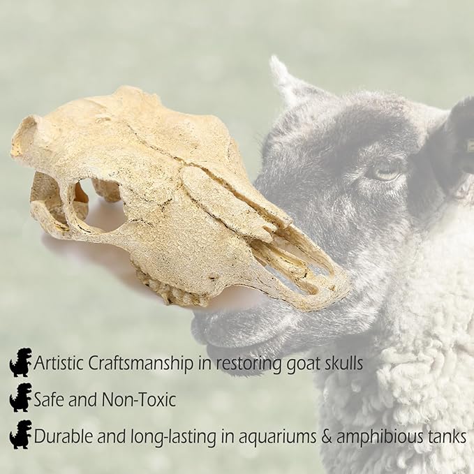 Aquarium Skull Décor Fish Hideout Cave Decorations Betta Tarantula Reptile Snake for Terrarium Ornament Dinosaur Animal Large Bones Halloween-PawvioPets