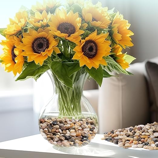 5 lbs Pebbles for Indoor Plants, Vase, Succulent, 3/8" Gravel for Plants, Pots Indoor, Bamboo Rocks for Bamboo Plants, Decorative Small River Rock, Highly Polished-PawvioPets