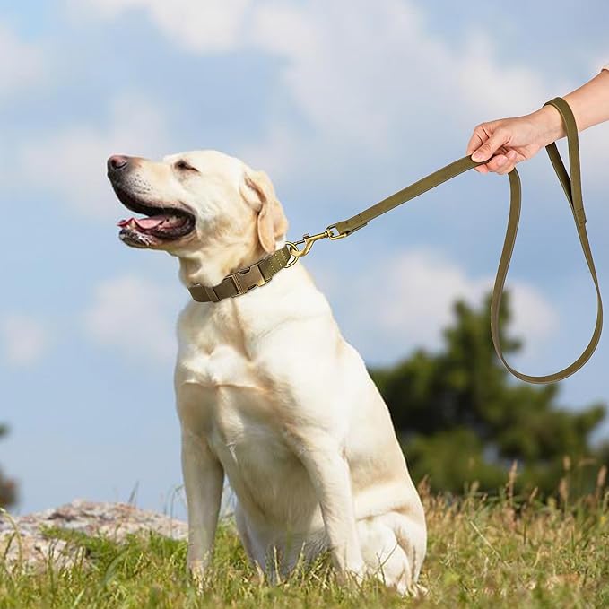 Didog Soft PU Leather Dog Collar, Stylish Quick Released Dog Collar for Large Dogs, Easy Clean Adjustable Pet Collar for Daily Walking, Dark Green, L Fit 15-23" Neck-PawvioPets