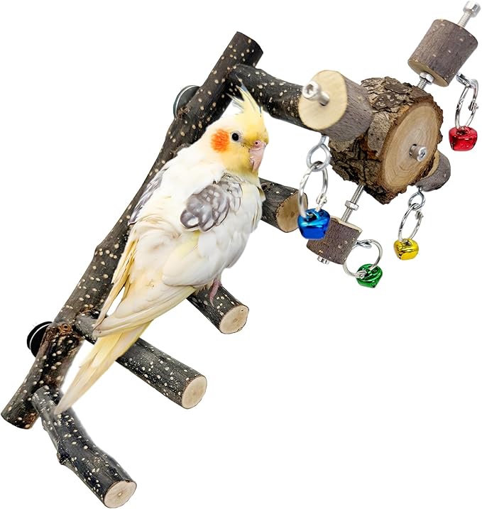 BNOSDM Natural Wood Bird Ladder Perch with Rotating Bell Toys-Exercise Stands for Parrot Climbing Chewing Parakeet Bridge Cage Accessories for Cockatiel, Conures, Lovebirds, Budgie-PawvioPets